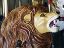 Herschell-Spillman Lion Outside Row Head Close-up