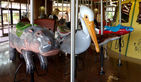 Carousel Works Hippo, Pelican, River Otter, and Cardinal Tetra