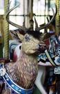 Herschell-Spillman Deer Outside Row Stander Head Detail