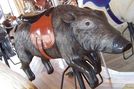 Carousel Works Peccary