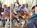 Carousel Works Maned Wolf and Serval