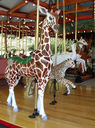 Carousel Works Giraffe, Cheetah, Whooping Crane, and Dama Gazelle