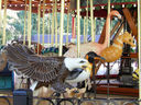 Carousel Works Bald Eagle, King Penguin, Flamingo, and Seahorse