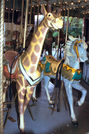 (L-R) PTC Giraffe and Carmel Stander