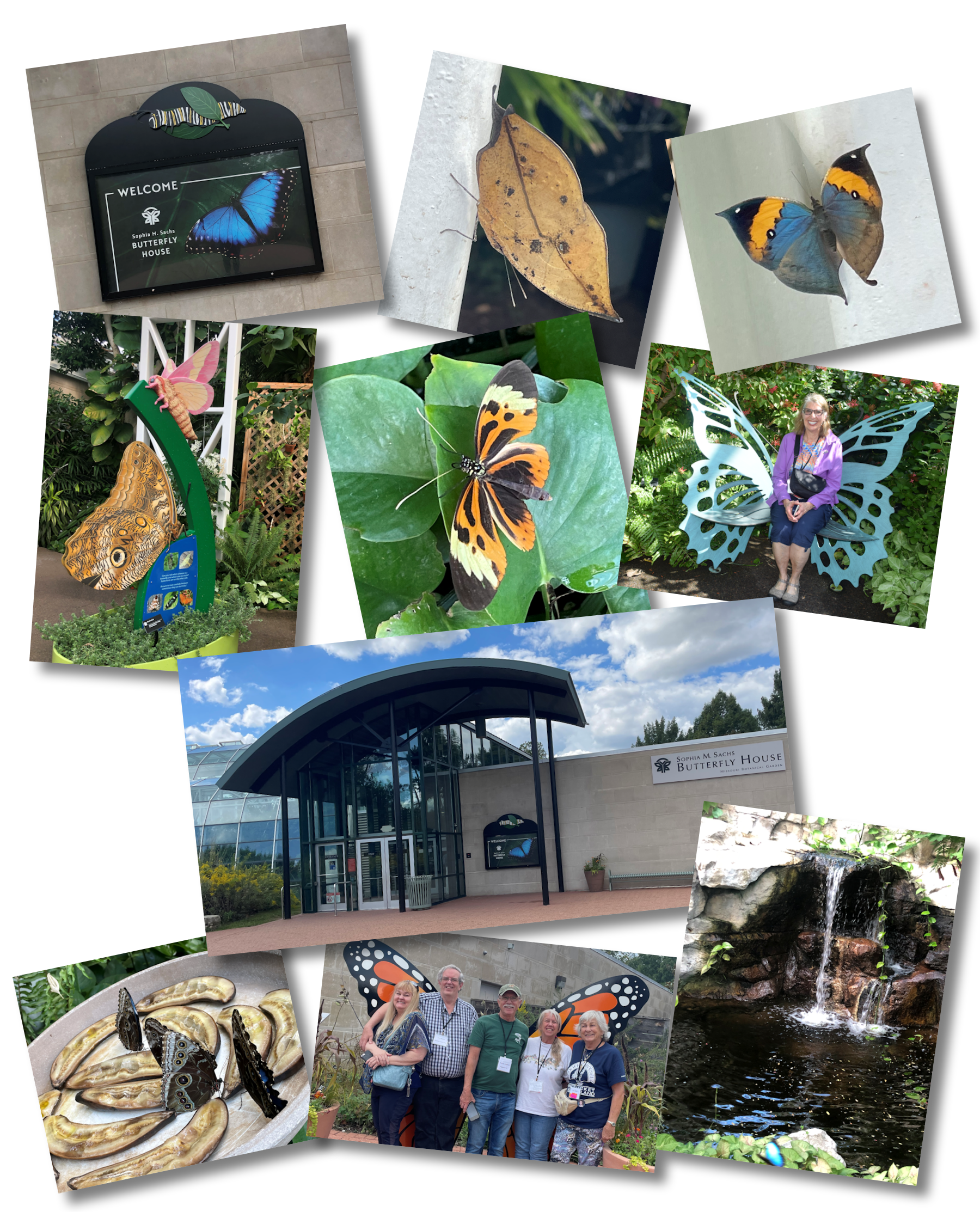 2024 Convention - The Butterfly House