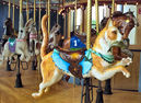 Carousel Works Cat