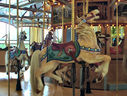 Carousel Works Horse