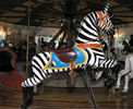 U.S. Merry-Go-Round Zebra