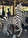 Herschell-Spillman Zebra 2nd Row Jumper