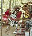 Herschell-Spillman 2nd Row Horse Painted as a Zebra
