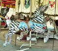 Herschell-Spillman Outside Row Horse Painted as a Zebra