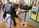 Carousel Works Chimp and Sea Otter
