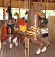 Brown Horse