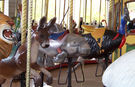 Carousel Works Kangaroo, Manatee, and Cassowary