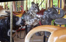 Carousel Works Sloth Bear, Snow Leopard, and Elephant