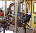 Carousel Works Snakes, Mandrill, and Ostrich