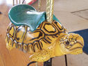 Carousel Works Tortoise