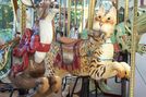 Carousel Magic Deer and Cat