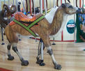 Carousel Works Camel