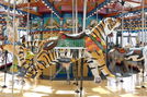 Cincinnati Bengals Tiger by Carousel Works