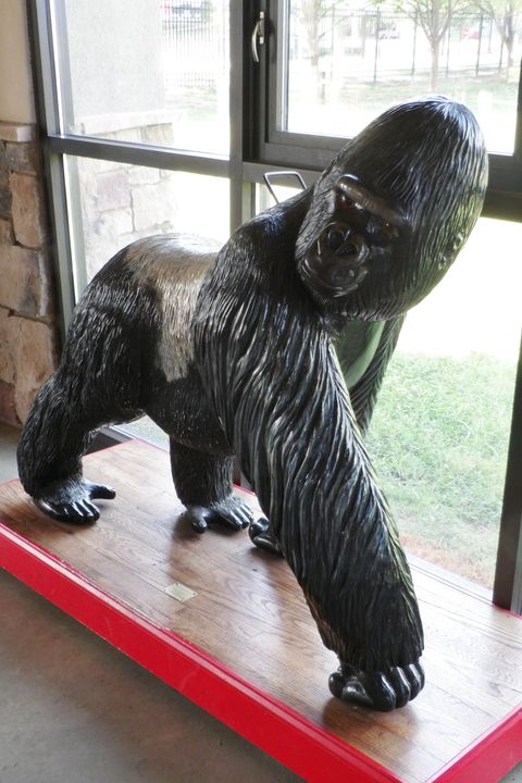 National Carousel Association - Chattanooga Zoo - Gorilla On Display At ...