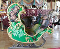 New Carved Chimpanzee Chariot
