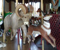 New Carved Bighorn Sheep and Pronghorn Antelope