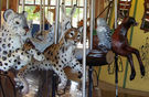 Carousel Works Snow Leopard, Lynx, Snowy Owls, and Deer
