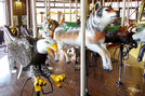 Carousel Works Bald Eagle, Wolf, and Red Panda