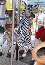 Carousel Works Inside Row Zebra