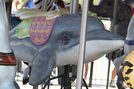 Carousel Works Inside Row Dolphin