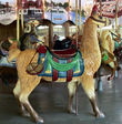 Carousel Works Llama Outside Row Stander