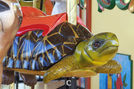 Carousel Works Radiated Tortoise