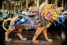 Herschell-Spillman Lion Outside Row Stander