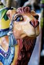 Herschell-Spillman Camel Outside Row Stander Head Detail