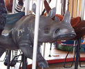 Carousel Works Rhino