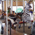 Carousel Works Anteater and Zebra