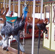 Carousel Works Kangaroo, Cassowary, and Red Panda
