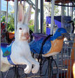Carousel Works Rabbit and Bluebird