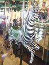 New Carved Zebra Jumper
