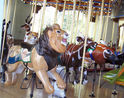 Carousel Works Lion, Bongo, and Red River Hog