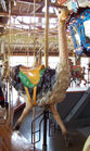 Carousel Works Ostrich Jumper