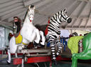 PTC Jumper and Muller Zebra