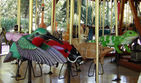 Carousel Works Hummingbird, Ladybug, Armadillo, and Fiji Island Iguana