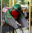Carousel Works Hummingbird