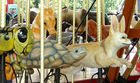 Carousel Works Aldabra Tortoise and Fennec Fox