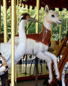 Carousel Works Whooping Crane and Dama Gazelle