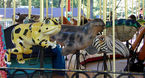 Carousel Works Panamanian Golden Frog, California Sea Lion, Cuttlefish, and Giant Clam