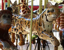 Carousel Works Clouded Leopard