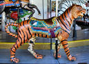 Outside Row Herschell-Spillman Standing Tiger